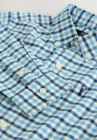 Blau-grün kariertes Hemd aus Baumwolle mit Knöpfen, ausgestattet mit einem Kragen, weißen Knöpfen und einem gestickten Logo auf der Brust.