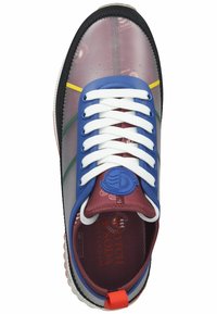 Scotch & Soda Sneaker low - ams proof