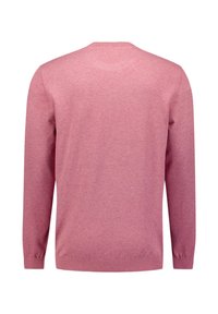 Roze gebreide trui, ronde hals, lange mouwen, gladde textuur, geribde zoom en manchetten, effen kleur met een zachte uitstraling, achteraanzicht.