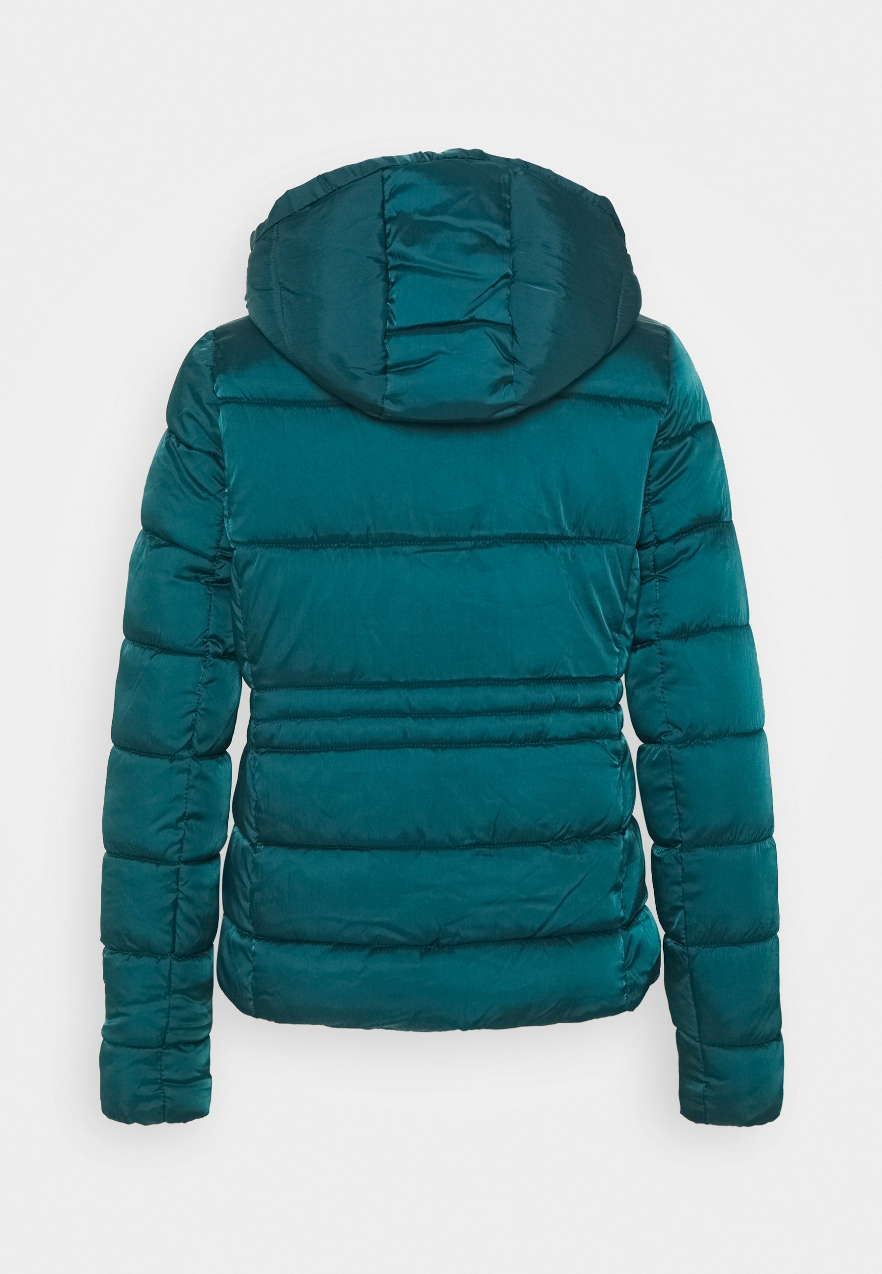 Springfield ACOLCHADA - Chaqueta de invierno - green/azul petróleo -  Zalando.es