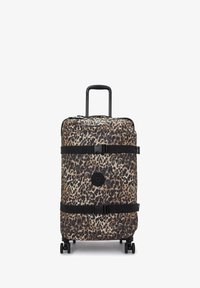 Selezionato, wild leopard