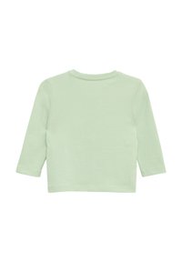 Lichtgroene longsleeve shirt met een relaxte pasvorm, ronde halslijn en een zachte katoenen textuur. Eenvoudig ontwerp, zonder extra patronen of accenten.
