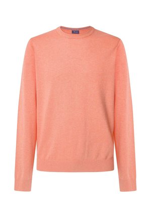 Maglione color pesca a girocollo, tessuto a maglia con una consistenza morbida, maniche lunghe e polsini e orlo a costine. Nessun motivo o decorazione visibile.