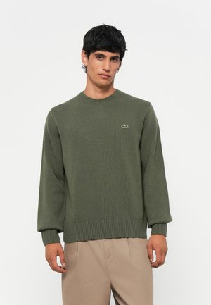 Ung mann iført en olivengrønn strikkegenser med liten krokodillelogo på brystet og beige casual bukser mot hvit bakgrunn.