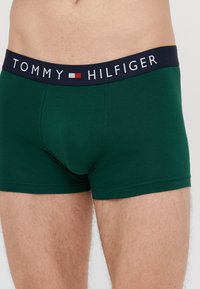 Πράσινα βαμβακερά μποξεράκια με ναυτικό ελαστικό ζωνάρι μέσης που φέρει το λογότυπο "TOMMY HILFIGER" σε λευκό με κόκκινες λε�πτομέρειες. Λείο υφή.