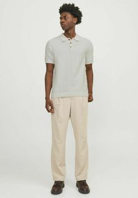 Polo grigia chiara con colletto classico e maniche corte, abbinata a pantaloni beige. Scarpe marroni con lacci completano l'outfit.