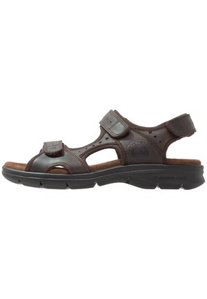 SALTON BASIC  - Vandringssandaler - brown