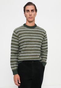 Młody mężczyzna z wygładzoną brązową fryzurą, ubrany w sweter w zielono-szary paskowany wzór i czarne spodnie, stojący na tle białego tła.