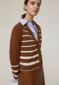 Cardigan a righe marrone con scollo a V profondo, caratterizzato da righe bianche e bottoni, indossato sopra una camicia azzurra a collare, su uno sfondo neutro.