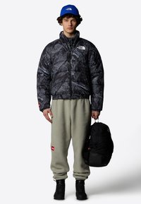 The North Face Zimní bunda - tnf black d summit mes