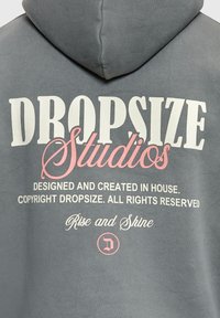 Sweat à capuche gris avec le texte "DROPSIZE Studios" en blanc et rose, ainsi qu'un texte plus petit concernant le design et les droits d'auteur au dos.