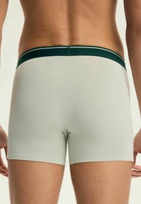 Jasnozielone bawełniane slipki z ciemnozieloną paskowaną gumką w talii, charakteryzujące się dopasowanym krojem i gładką teksturą. Brak widocznych metek lub wzorów.