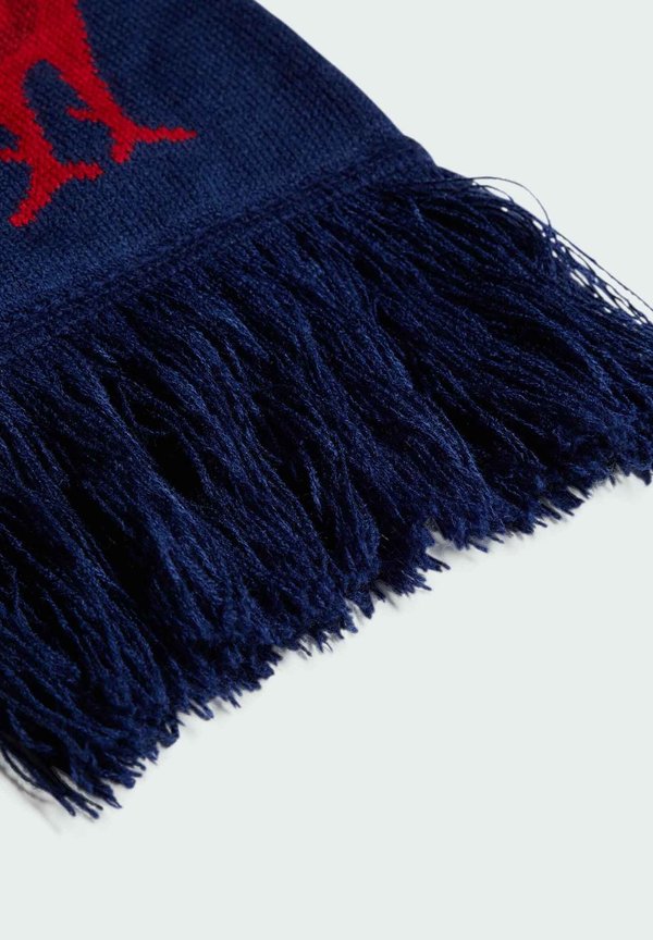 FRANCE - Scarf3
