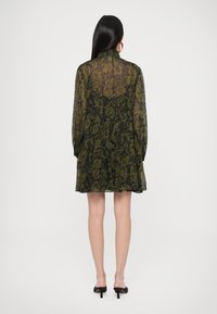 Prosojna črna obleka z zelenim paisley vzorcem. Visok ovratnik, dolgi rokavi in razširjen krilo. Dolžina do gležnjev, kombinirano s črnimi petami.