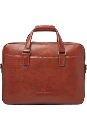 TED  - Portafolios - cognac