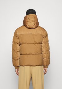 Brown puffer jacket with a hood, quilted pattern, elastic cuffs, and a waistband. Smooth texture, mid-length design, back view shown.