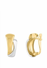 Orecchini a cerchio in metallo dorato e argentato con design curvo, texture lisce e chiusura a cerniera per un facile utilizzo.