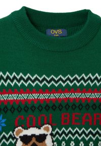 Grüner Strickpullover mit einem Muster in Rot, Weiß und Schwarz. Zeigt eine Bärengrafik mit Sonnenbrille und dem Text "COOL BEAR".