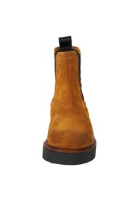 Scotch & Soda OLIVINE - Ankle Boot - cognac