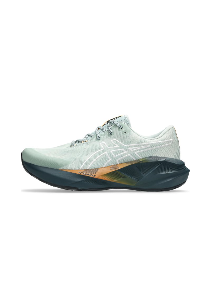 ASICS NOVABLAST 5 TR - Trail running shoes - nature bathing   lichen rock