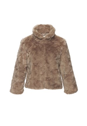 FELLIMITAT - Winter jacket - taupe