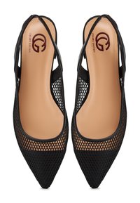 Pantofi cu toc slingback din plasă neagră, cu vârf ascuțit, având o interior nude și branding subtil. Overlay-ul din plasă texturată adaugă detalii.