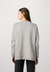 DRYKORN LUNAIA - Mikina - grey