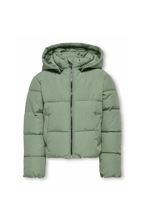 KOGDOLLY LIFE - Winter jacket - hedge green