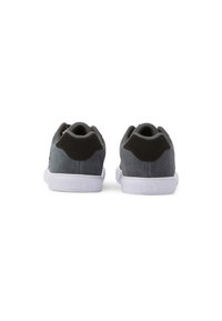 DC Shoes CHELSEA - Träningsskor - dark grey