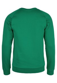 Sudadera verde con mangas largas de estilo raglán, cuello redondeado, pu�ños y dobladillo acanalados, hecha de un material suave y texturizado. Sin marcas visibles.