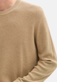 Beige gestrickter Pullover mit strukturiertem Muster, geripptem Rundhalsausschnitt und langen Ärmeln, gefertigt aus einem weichen, bequemen Stoff.