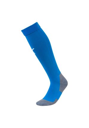 FUSSBALL LIGA CORE - Sportsocken - electric blue/white