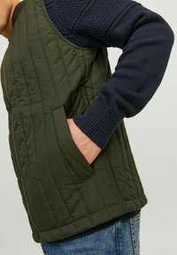 Grüne gesteppte Weste mit Reißverschluss und seitlichen Taschen, kombiniert mit einem strukturierten blauen Strickärmel. Lässiger Stil und schichtiger Look.