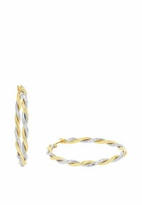 Pendientes de aro retorcidos en tonos plateados y dorados. Presentan una superficie lisa y pulida con un sutil diseño retorcido.