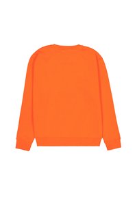 Felpa arancione con maniche lunghe, collo rotondo, polsini e orlo a coste. Texture liscia, senza motivi o ulteriori dettagli visibili.