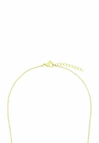 Collana in oro con chiusura a moschettone e un'estensione regolabile. Presenta un delicato design a maglia ovale e una superficie liscia.