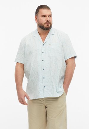 Baardige man met achtergebonden haar, gekleed in een lichtblauw kort overhemd met een subtiel bladvormig patroon en beige broek.