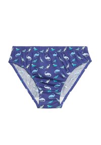 Blå kalsonger med dinosaurmönster i mjukt jersey-material, med resårmidja och en kontrasterande ljusgrå insida.