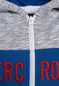 Gray zip-up hoodie with blue accents, featuring red embroidered text. Smooth fabric texture, visible zipper detail, and hooded design.
