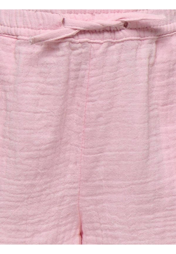 Shorts - roseate spoonbill2