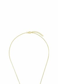 Guldpläterat kedjehalsband med en elegant och fin design. Utrustat med en krabbklämma och justerbar längd med kedjelänk för flexibilitet.