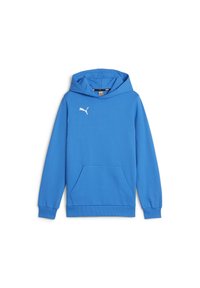 Felpa blu realizzata in tessuto morbido. Presenta una tasca frontale e un logo Puma bianco sul petto. Maniche lunghe con polsini a costine.