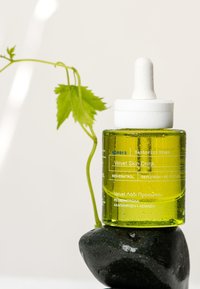 Botella de vidrio de aceite para el cuidado de la piel de color verde con tapa cuentagotas, etiquetada como "Bebida de Piel de Terciopelo". Descansando sobre una piedra oscura y lisa con acentos de enredadera verde.