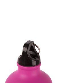 Pink plastic water bottle with a black screw top and a metal loop for attachment. Smooth texture, rounded body, and no visible patterns.