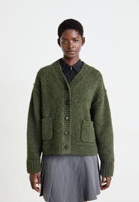 Groene wollen cardigan met een V-hals, grote knopen, twee voorzakken en geribde manchetten, gedragen over een zwart shirt en een grijze plissé rok.