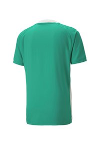 Korte mouwen sportshirt in levendig turquoise met een witte kraag. Gemaakt van gladde stof, met een eenvoudig, gestroomlijnd ontwerp.