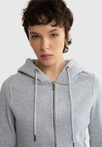 Big Star LAURISANA - Lukuga pusa - grau