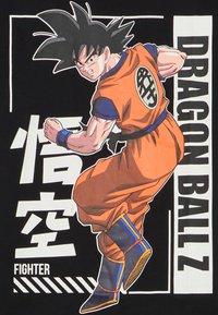 Oranžový bojový odev s modrými akcentmi. Postava je dynamicky pózuje. Pozadie zdobia výrazné biele nápisy: "DRAGON BALLZ" a "FIGHTER."