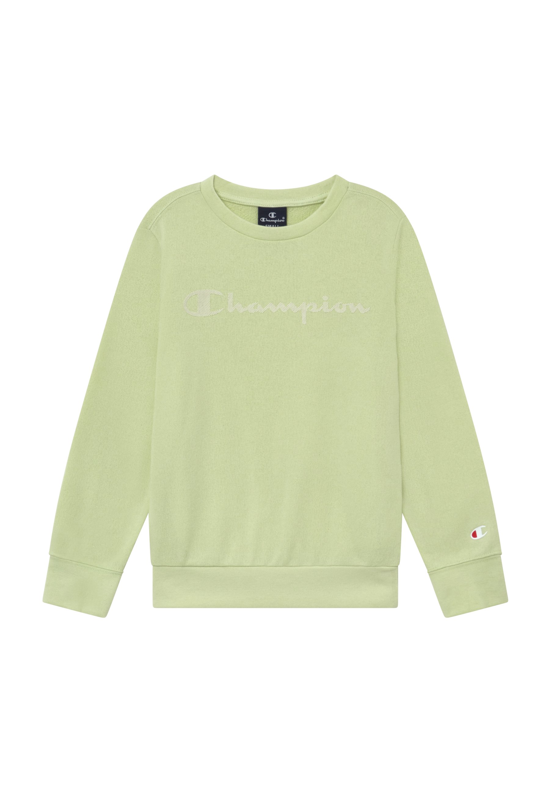 champion mint sweatshirt