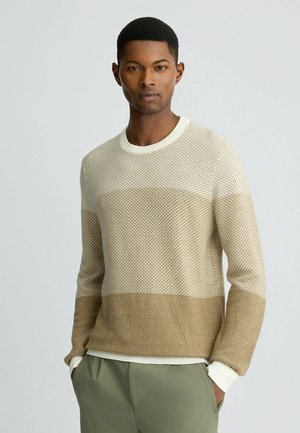 Pull en tricot avec un motif texturé dans des tons beige et crème, doté d'un col ras du cou et de poignets contrastants, associé à un pantalon vert clair.